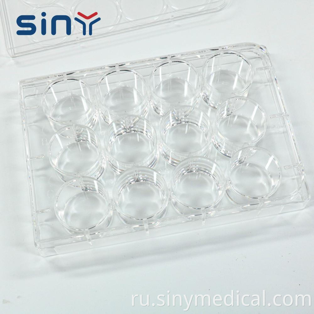 12 Well Cell Culture Plate